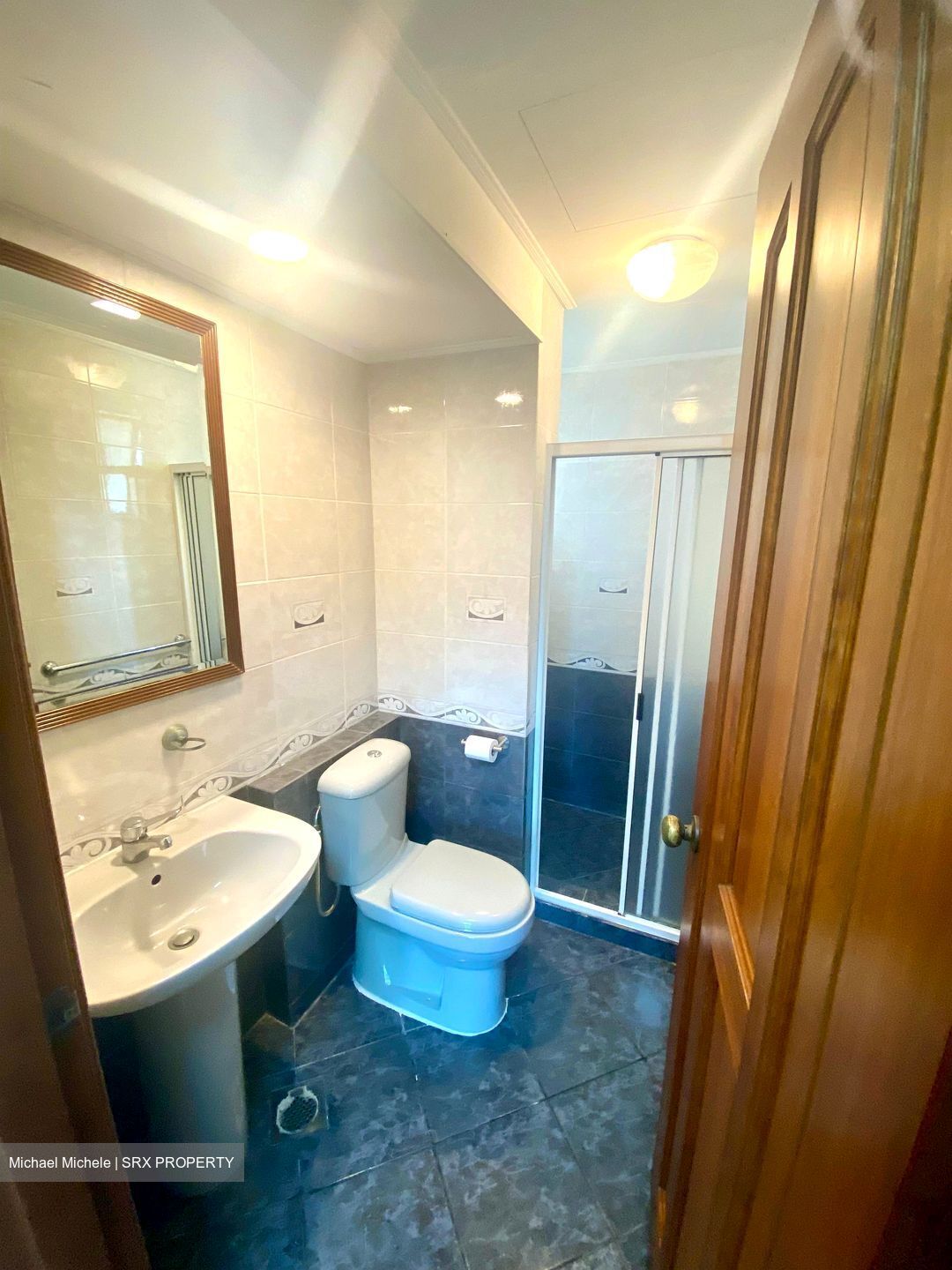 Spring Grove (D10), Condominium #450114631